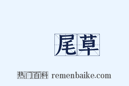 鳳尾草是什么意思的图片
